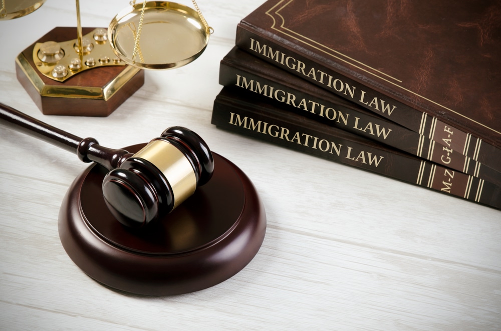 Navigating the Complex Terrain of Immigration Law: The Role of an Immigration Lawyer
