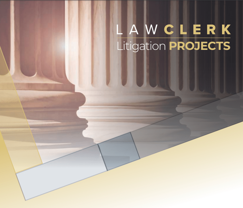 Litigation Projects